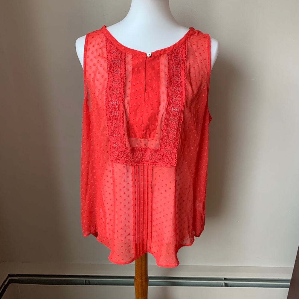 Daniel Rainn Sheer Sleeveless Blouse